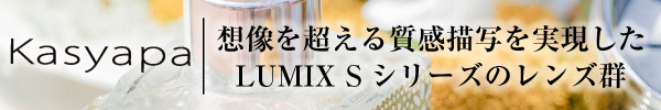 想像を超える「質感描写」 LUMIX S シリーズレンズ
