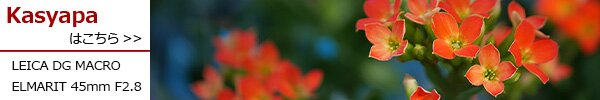 PhotoPreview
