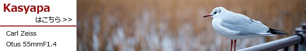 PhotoPreview