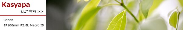 PhotoPreview