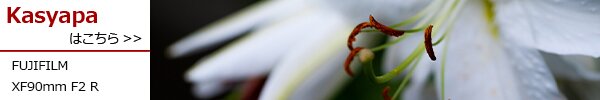 PhotoPreview