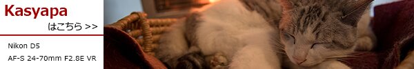PhotoPreview