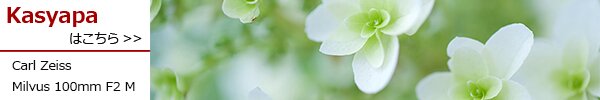PhotoPreview