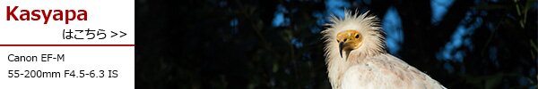 PhotoPreview