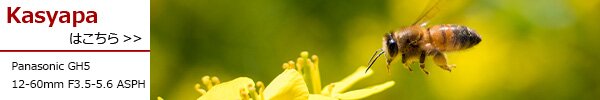 PhotoPreview