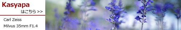 PhotoPreview