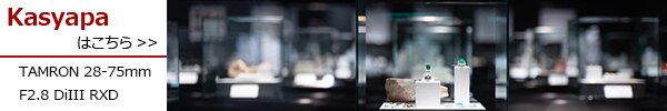 TAMRON 28-75mm F2.8 DiIII RXDフォトプレビューはコチラ