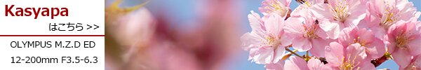 PhotoPreview
