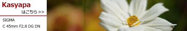 PhotoPreview