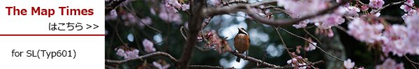 PhotoPreview