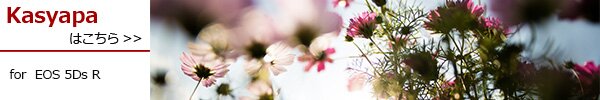 PhotoPreview