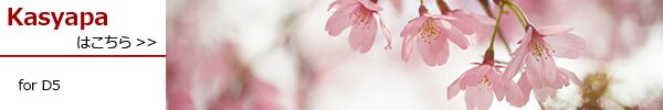PhotoPreview