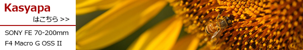 FE 70-200mm F4 Macro G OSS II SEL70200G2