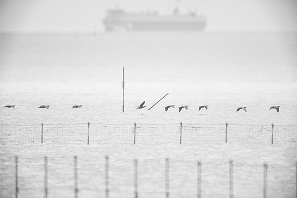 Mirotar 1000mm F5.6