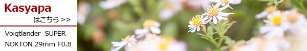 PhotoPreview