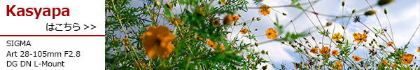 Art 28-105mm F2.8 DG DN