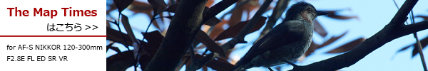 PhotoPreview