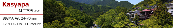 Art 24-70mm F2.8 DG DN II L-Mount
