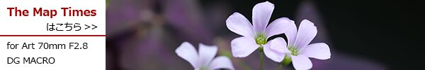 PhotoPreview
