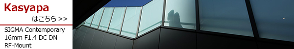 Contemporary 16mm F1.4 DC DN