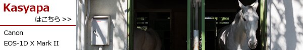 PhotoPreview