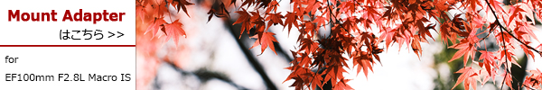 PhotoPreview