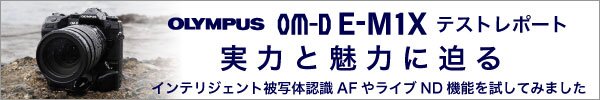 実力と魅力に迫るテストレポート