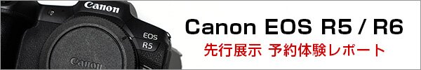 先行展示 体験予約レポート