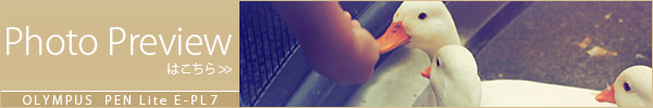 PhotoPreview