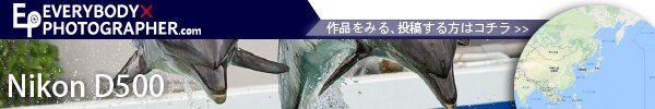 EVERYBODYxPHOTOGRAPHER.comのD500の検索結果 