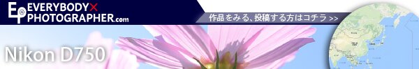 EVERYBODYxPHOTOGRAPHER.comのD750の検索結果 