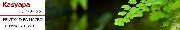 PhotoPreview