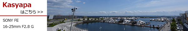FE 16-25mm F2.8 G SEL1625G