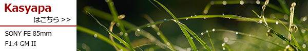 SONY FE 85mm F1.4 GM II