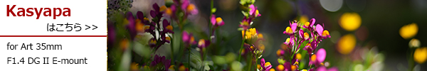 SIGMA Art 35mm F1.4 DG II E-mount