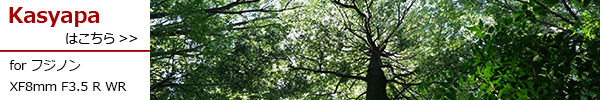 フジノン XF8mm F3.5 R WR
