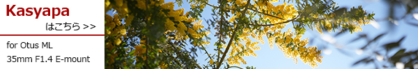 Otus ML 35mm F1.4 E-mount