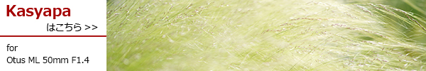 Otus ML 50mm F1.4