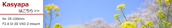 35-100mm F2.8 Di III VXD / Model A078Z 