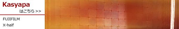 X half X-HF1