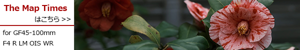 PhotoPreview