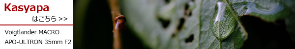 PhotoPreview