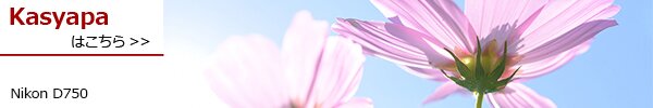 PhotoPreview