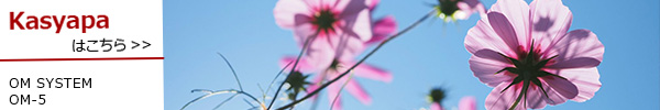 PhotoPreview