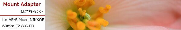 PhotoPreview