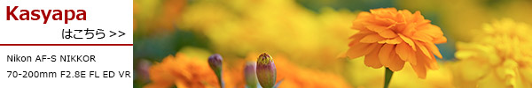70-200mm F2.8E FL ED VR