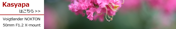 NOKTON 50mm F1.2 X-mount