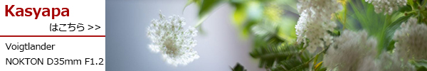 NOKTON D35mm F1.2