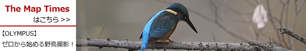 野鳥撮影