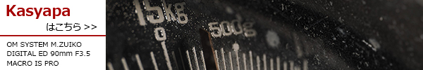 M.ZUIKO DIGITAL ED 90mm F3.5 MACRO IS PRO